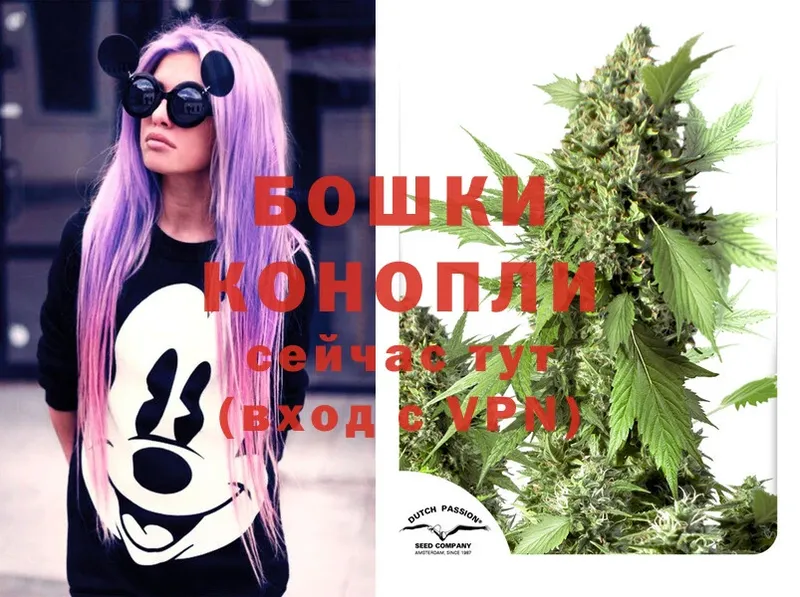 МАРИХУАНА Ganja  Богданович 